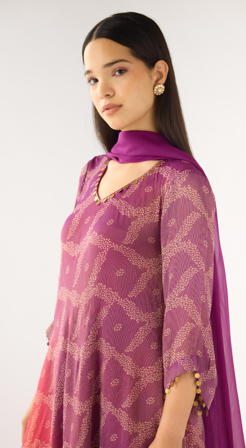 Pink Tissue Embellished Suit Set