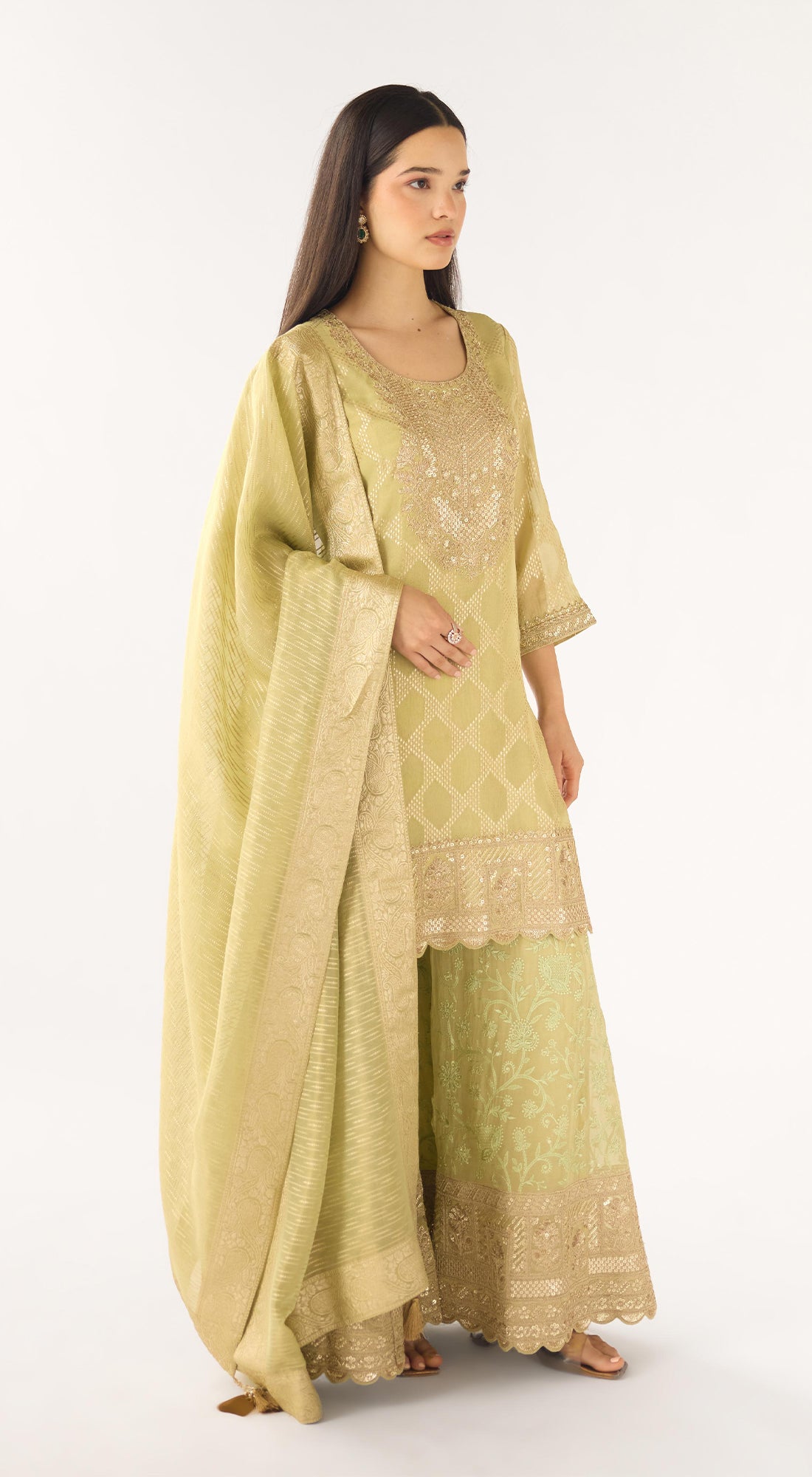 Pista Banarasi Embroidered Suit Set