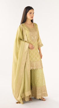 Pista Banarasi Embroidered Suit Set