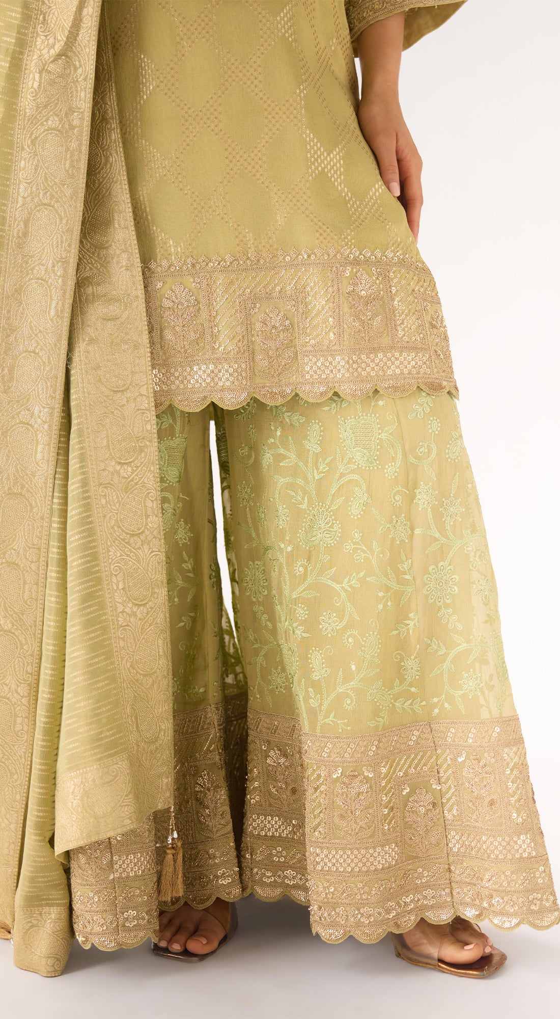 Pista Banarasi Embroidered Suit Set