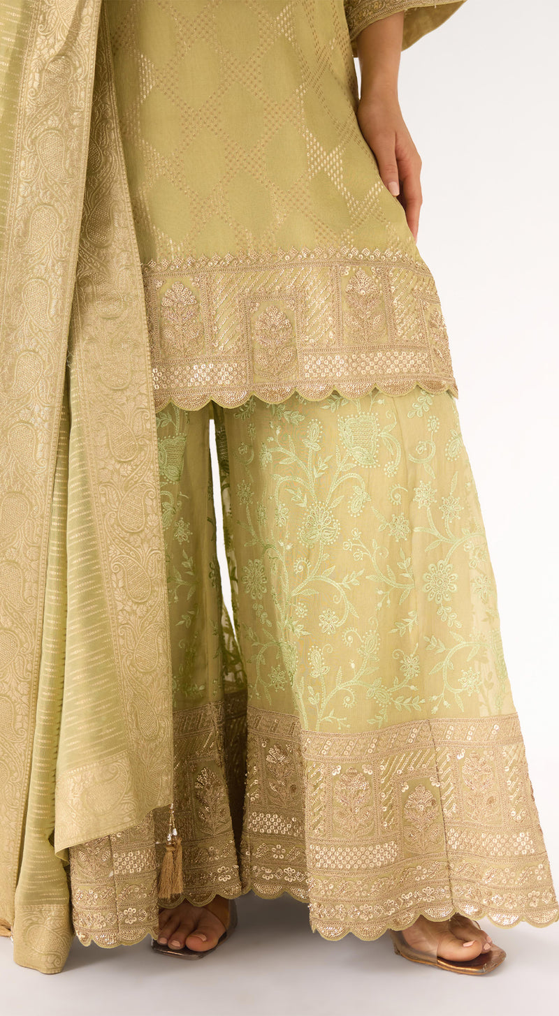 Pista Banarasi Embroidered Suit Set