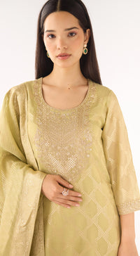 Pista Banarasi Embroidered Suit Set