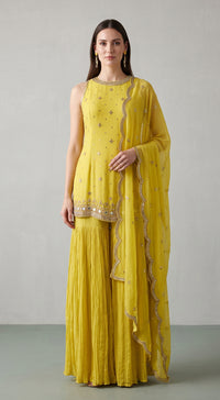 BSR-4043-YELLOW image 1