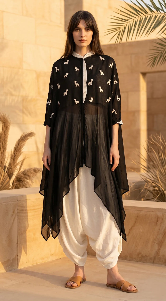 Black Organza Co-Ord Set With Harem Pants