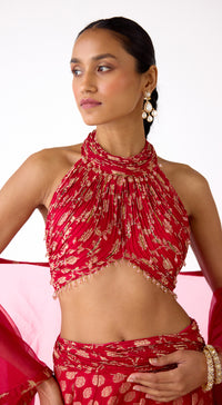 The Scarlet-Gold Banarasi Lehenga Set