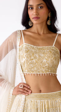 The Celestial Gem Lehenga Set