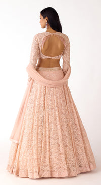 The Soft Blush Lehenga Set
