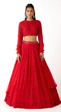 The Blush Horizon Lehenga Set