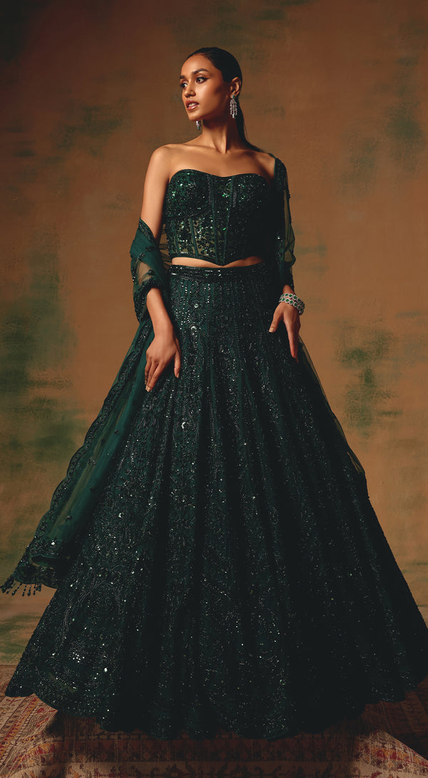 The Wild Ivy Lehenga