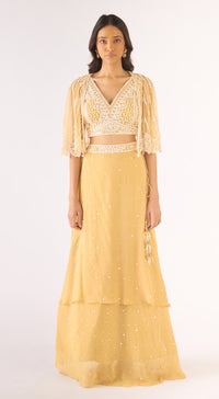 Gold Georgette Embroidered Lehenga Set