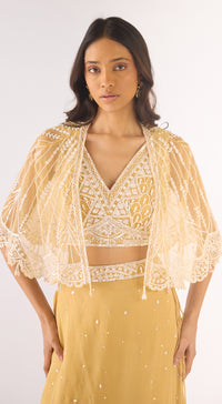 Gold Georgette Embroidered Lehenga Set