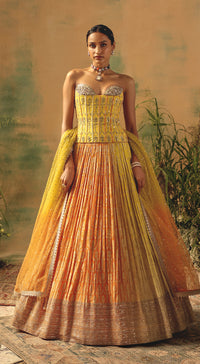 The Wild Mariposa Lehenga