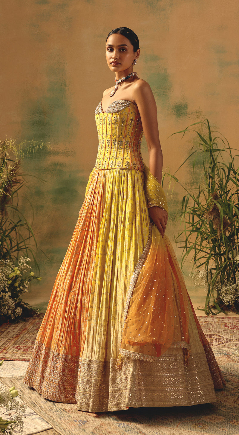 The Wild Mariposa Lehenga