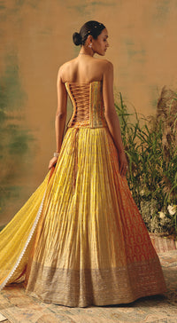 The Wild Mariposa Lehenga