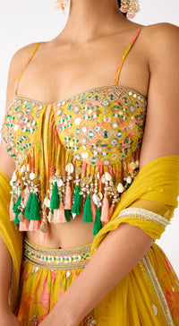The Amber Radiance Lehenga Set