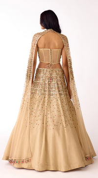Gold Embroidered Corset Lehenga Set