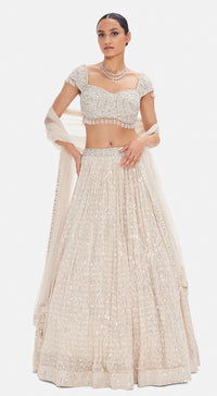 The Pearly Luminous Lehenga