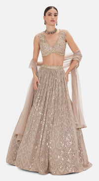 The Astral Refelection Lehenga Set