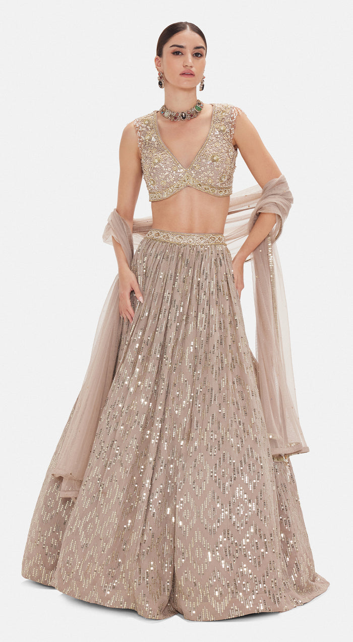 The Astral Refelection Lehenga Set