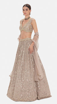 The Astral Refelection Lehenga Set