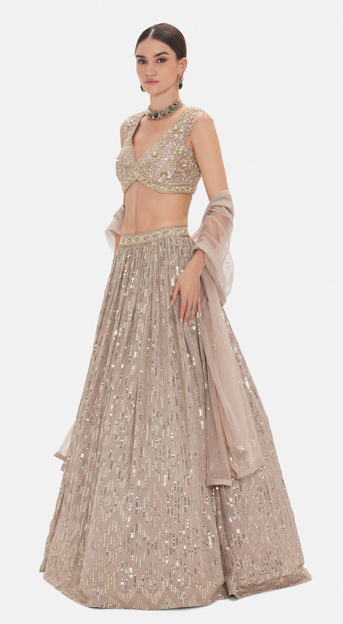 The Astral Refelection Lehenga Set