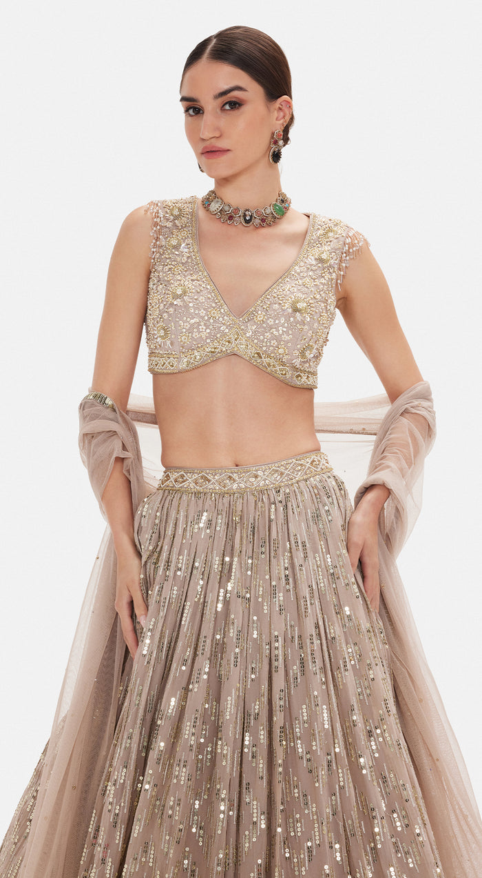 The Astral Refelection Lehenga Set