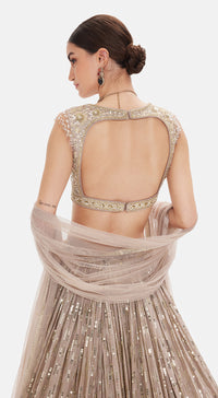 The Astral Refelection Lehenga Set