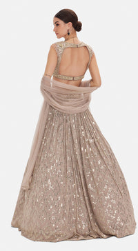 The Astral Refelection Lehenga Set