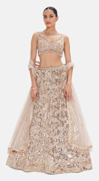 The Palatial Elegance Lehenga