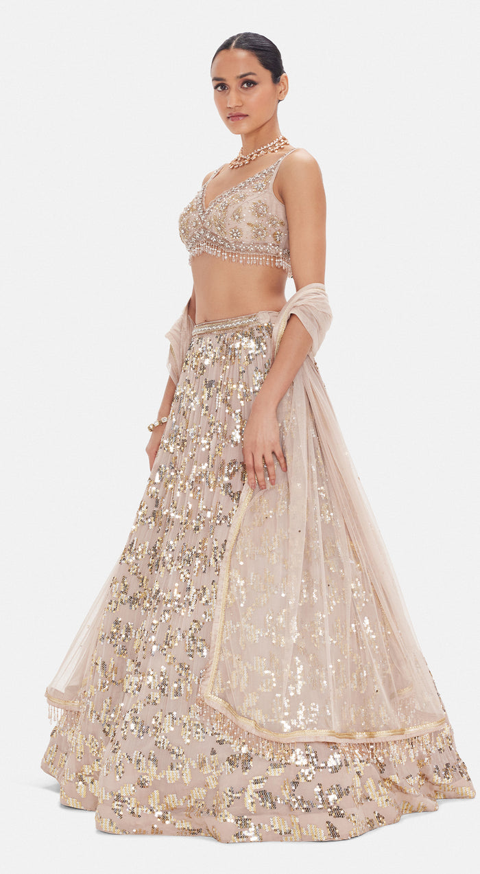 The Palatial Elegance Lehenga