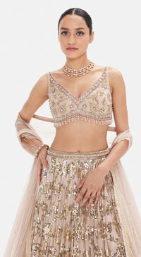 The Palatial Elegance Lehenga