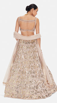 The Palatial Elegance Lehenga