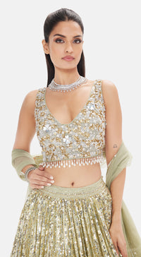 The Soft Moss Sequins Lehenga