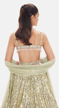 The Soft Moss Sequins Lehenga