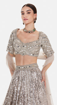 The Silver Odyssey Lehenga