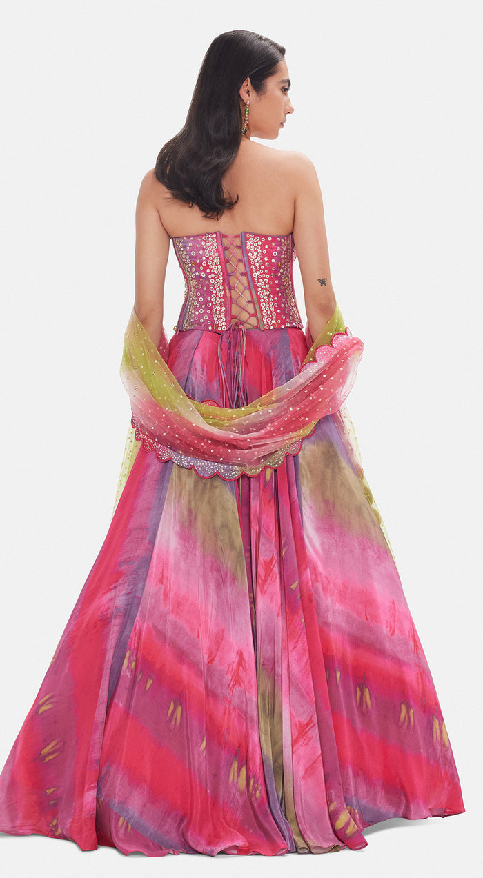 The Iris Mirage Lehenga Set