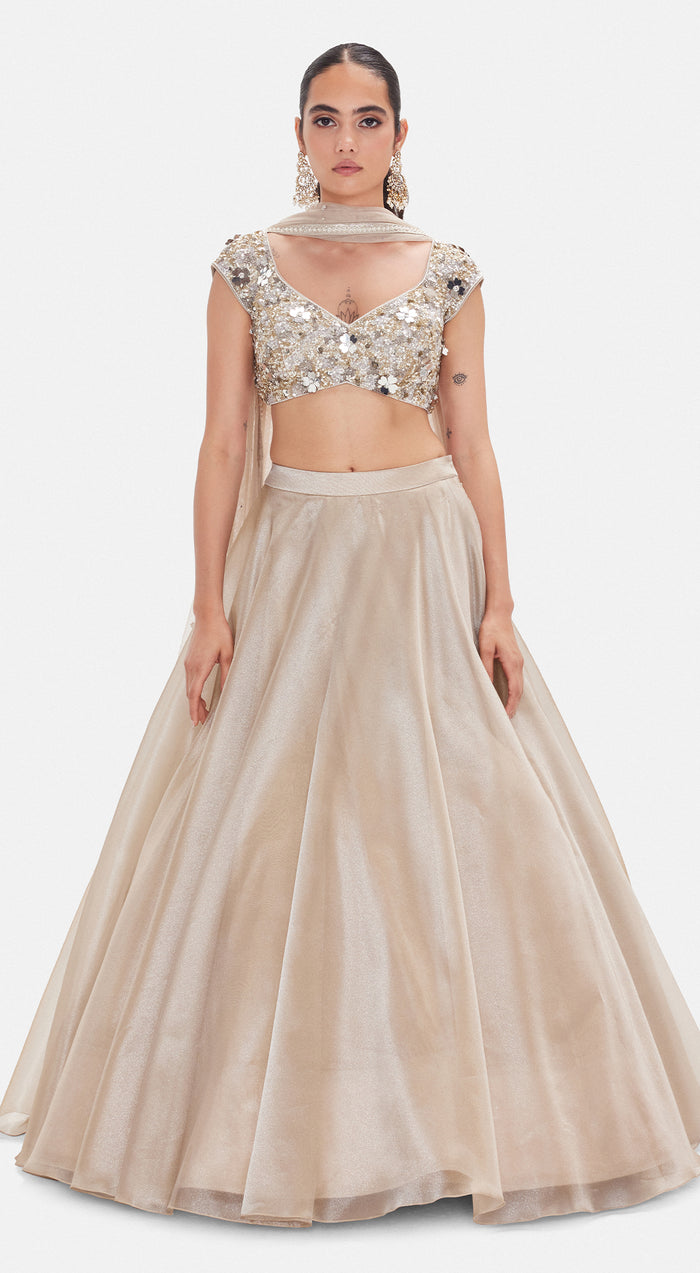 The Liquid Starlight Lehenga Set