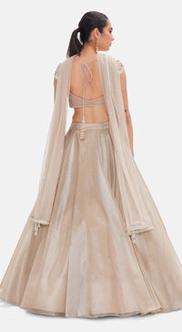 The Liquid Starlight Lehenga Set