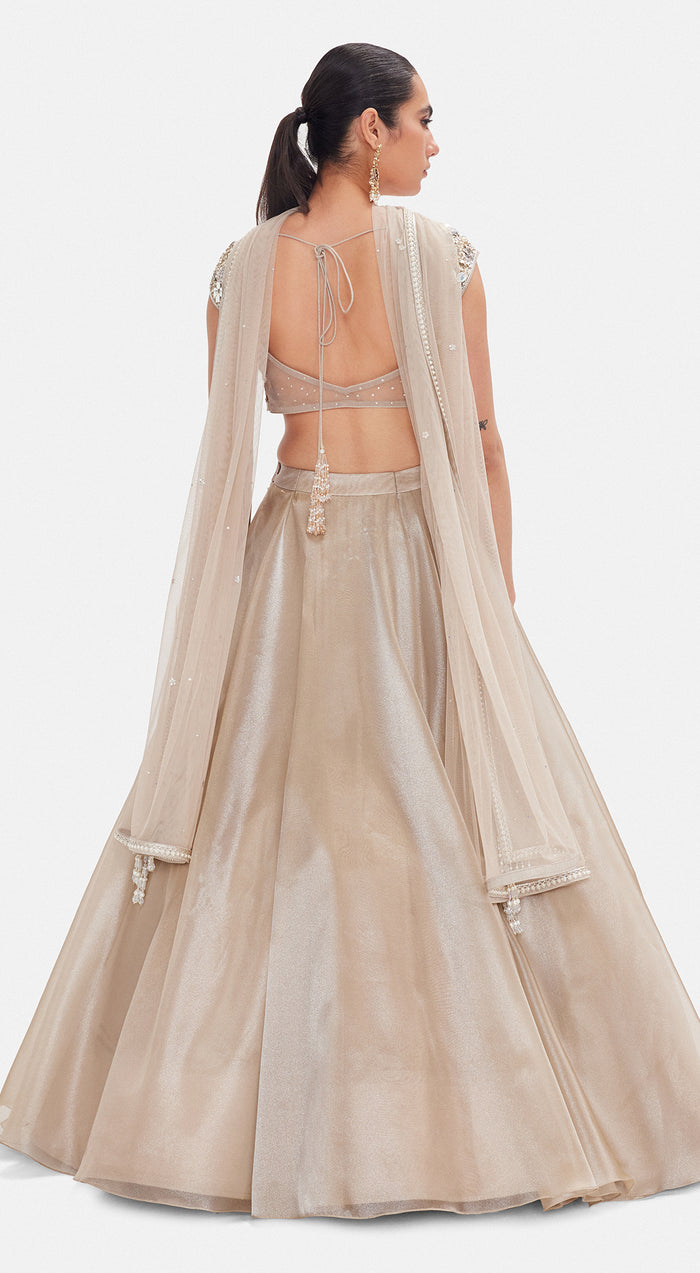 The Liquid Starlight Lehenga Set