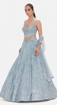 The Ice Comet Croset & Lehenga Set
