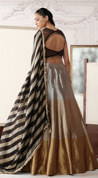 The Royal Black Ombre embellished tissue lehenga - Basanti kapde aur koffee