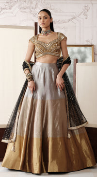 The Royal Gold Ombre embellished tissue lehenga - Basanti kapde aur koffee