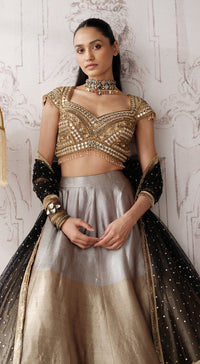 The Royal Gold Ombre embellished tissue lehenga - Basanti kapde aur koffee