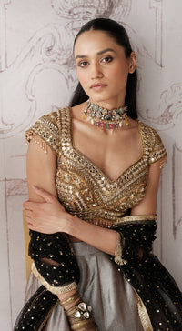 The Royal Gold Ombre embellished tissue lehenga - Basanti kapde aur koffee