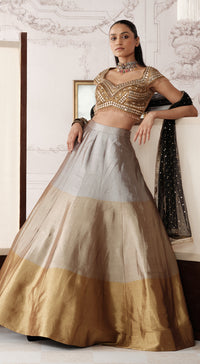 The Royal Gold Ombre embellished tissue lehenga - Basanti kapde aur koffee
