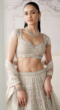 Basanti Kapde Aur Koffee Platinum Eclat light grey embroidered lehenga set