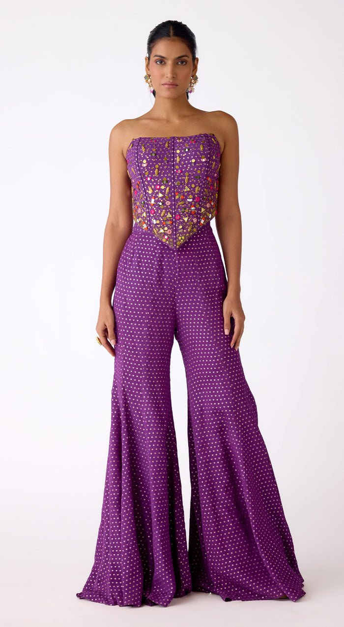 The Mystic Plum Sharara Set