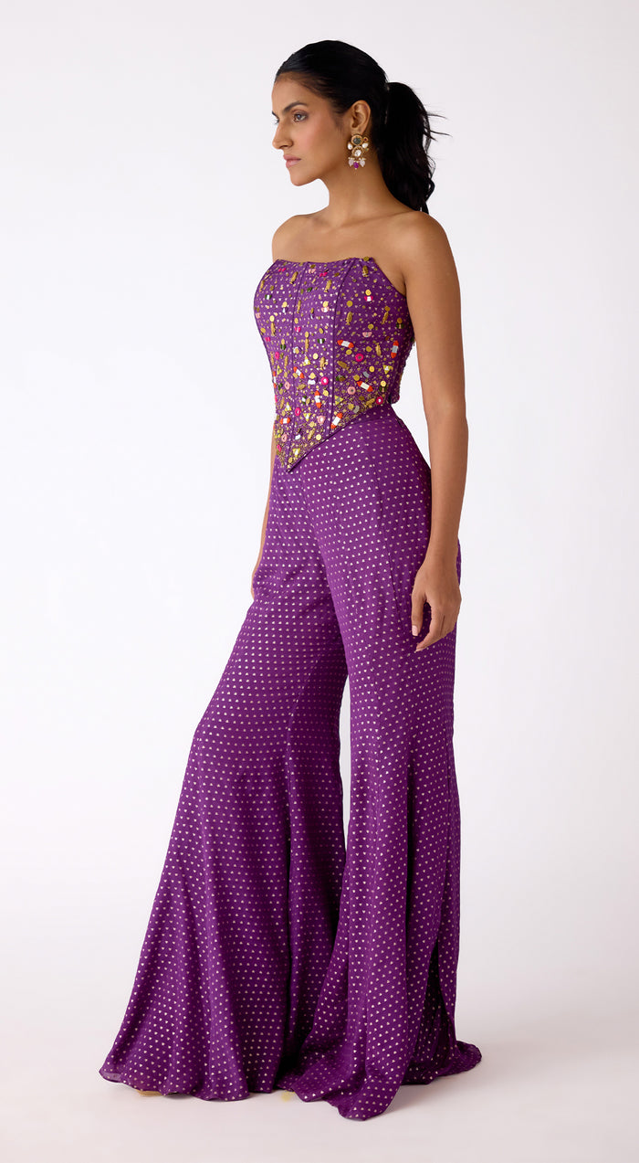 The Mystic Plum Sharara Set