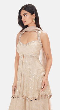 The Beige Shimmer Sharara Set