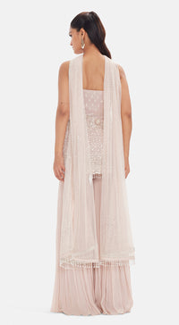 The Frosted Tulip Sharara Set